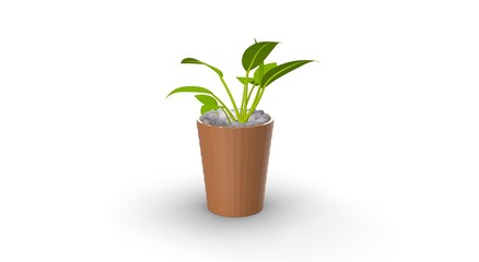 flower plant in Pot 3D Rendering