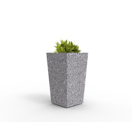 flower plant in Pot 3D Rendering