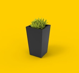 flower plant in Pot 3D Rendering