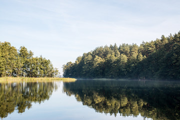 lake in the forest