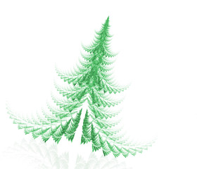 fir tree