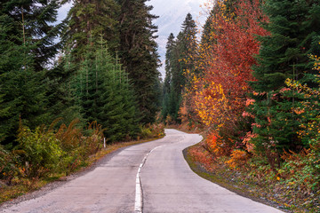 Fototapeta premium Road in the mountains of Svaneti, beautiful landscape, Georgia