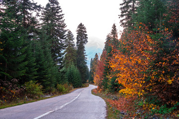 Road in the mountains of Svaneti, beautiful landscape, Georgia