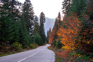 Road in the mountains of Svaneti, beautiful landscape, Georgia