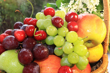 Grapes, cherries, apples in the basket, selective focus. Juicy fruits with drops on a sunny window
