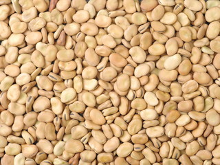 Pile of broad beans, background