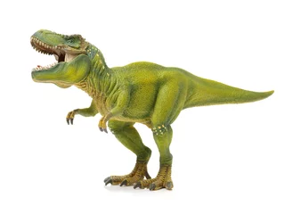 Fotobehang Jongenskamer groene tyrannosaurus op witte achtergrond