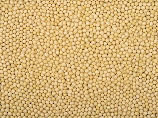 Soybean background