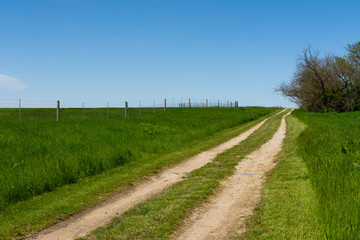Obraz na płótnie Canvas Road through the tallgrass prairie