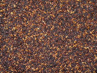 Black glutinous rice (black sticky rice,black rice) background