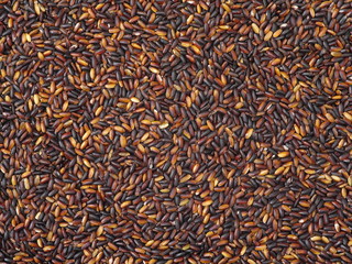 Black glutinous rice (black sticky rice,black rice) background