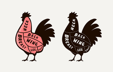 Diagram guide for cutting meat rooster, butcher shop. Chicken vector illustration