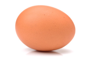 eggs on white background