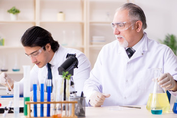 Two chemists working in the lab 