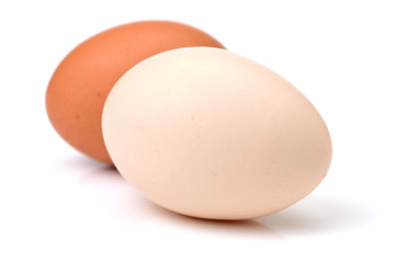 eggs on white background