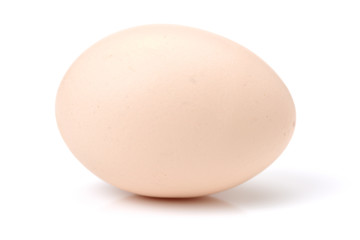 eggs on white background