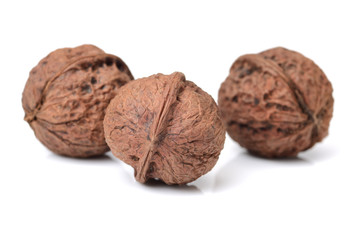 walnutswalnut isolated on the white background on white background 