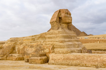 Fototapeta na wymiar The great Sphinx in Giza plateau. Cairo, Egypt