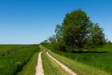 Fototapeta na wymiar Road through the tallgrass prairie