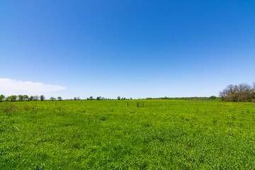 Open grass field