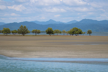 Nature tree symbol of Ranong landscape mountains and beach beautiful in nature background