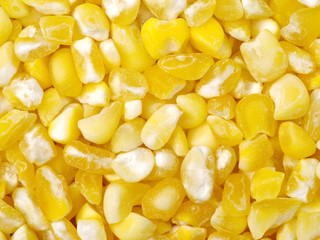 raw crushed corn groats close up