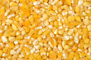 raw crushed corn groats close up