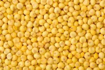 Millet background