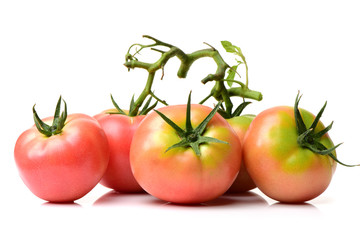 fresh tomato isolated on white background