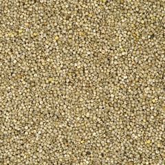 Millet Texture, Background