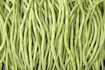 Green kidney bean on white background 