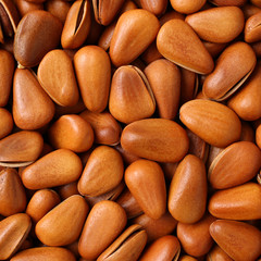Pine nut background
