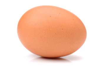 Egg collection isolated on white background
