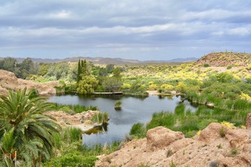 Fototapeta na wymiar Desert Oasis Arizona Mountains Lake Water 