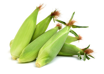 Fototapeta premium Corn on white background 