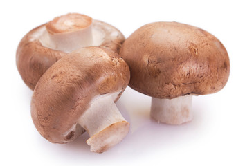 Fresh mushrooms on white background