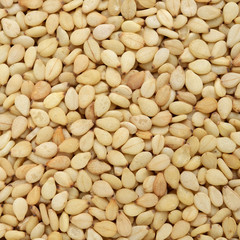 sesame seeds background 