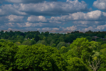Fototapeta na wymiar Landscape of green environment public park natural with beautiful sky backdrop.
