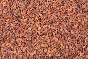 dried raisin background