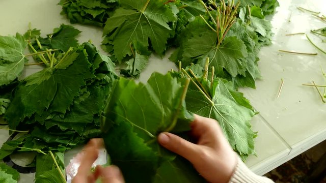 fresh green vine grape leaves, wrapping stuffed vine leaves,