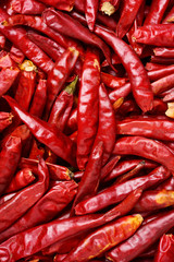 Dried chili. background