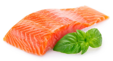 Red fish on white background