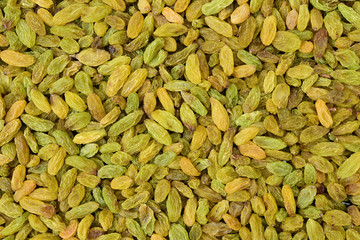 dried raisin background