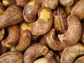 Cashews nut background