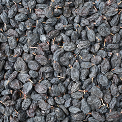 Black dried grapes on a white background