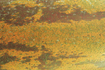 fondo amarillo bosque