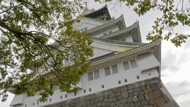 Japan Osaka Castle From 16th Century Famous Historic Landmark and Tourist Attraction Low Angle Shot From Nishinomaru Garden 4k