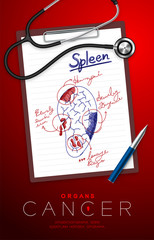 Spleen Cancer and infection, Doctor writing and hand sketch drawing on paper chart with pad, pen and stethoscope, Medical Science Organ concept idea illustration isolated with copy space, vector