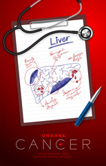 Liver Cancer and infection, Doctor writing and hand sketch drawing on paper chart with pad, pen and stethoscope, Medical Science Organ concept idea illustration isolated with copy space, vector