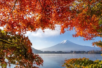 Japan Colorful Autumn Landscape and Mountain Fuji with morning fog and nature red maple leaves at lake Kawaguchiko near Tokyo is one of the best destination for travel tourism in Asia.